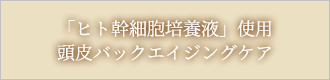 「ヒト幹細胞培養液」使用頭皮バックエイジングケア